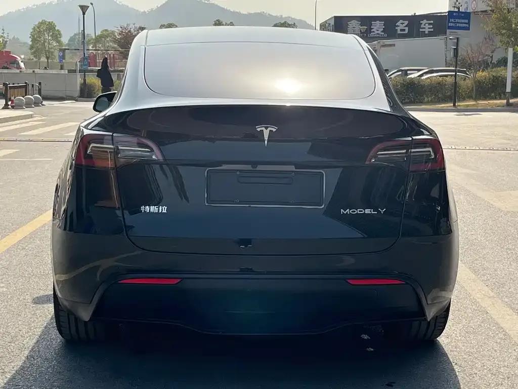 Tesla Model Y 2022 из CN, фото 9