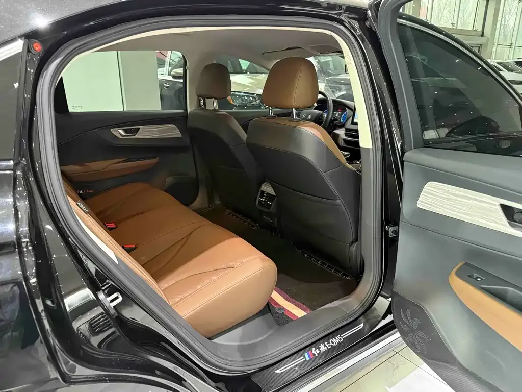 Hongqi E-QM5 2024 из CN, фото 9