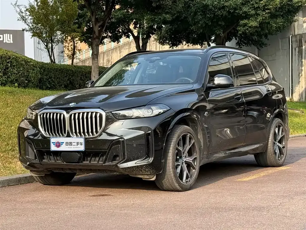 BMW X5 2024 из CN, фото 1