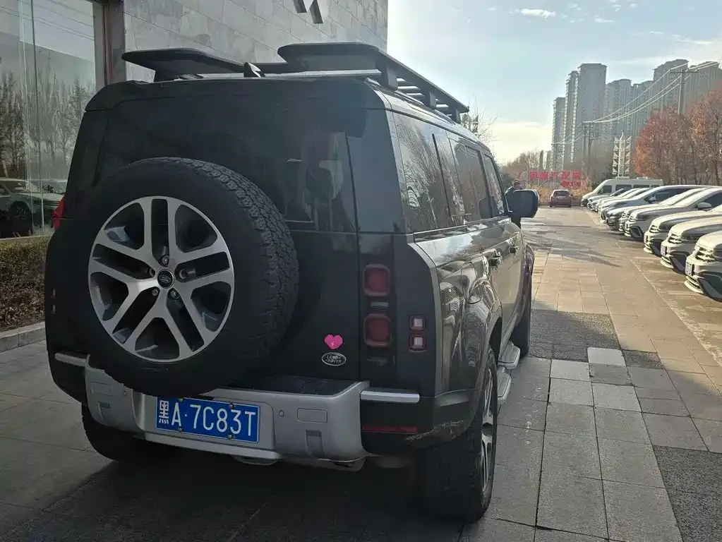 Land Rover Defender 2022 из CN, фото 4
