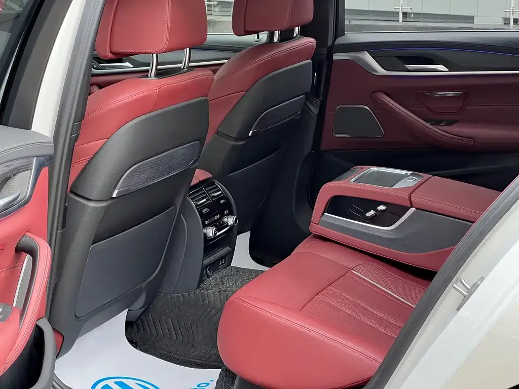 BMW 5 Series 2022 из CN, фото 10