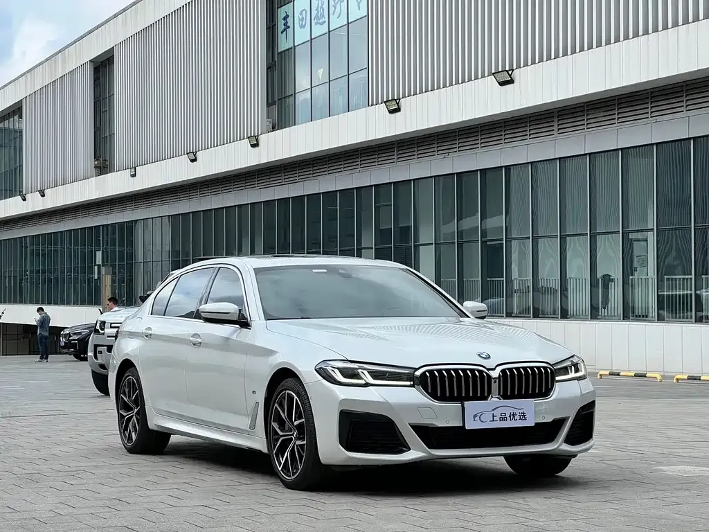 BMW 5 Series 2022 из CN, фото 3