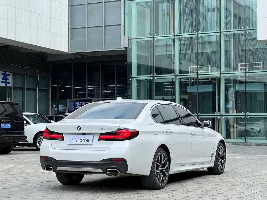 BMW 5 Series 2022 из CN, фото 7