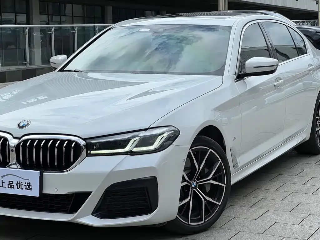 BMW 5 Series 2022 из CN, фото 8