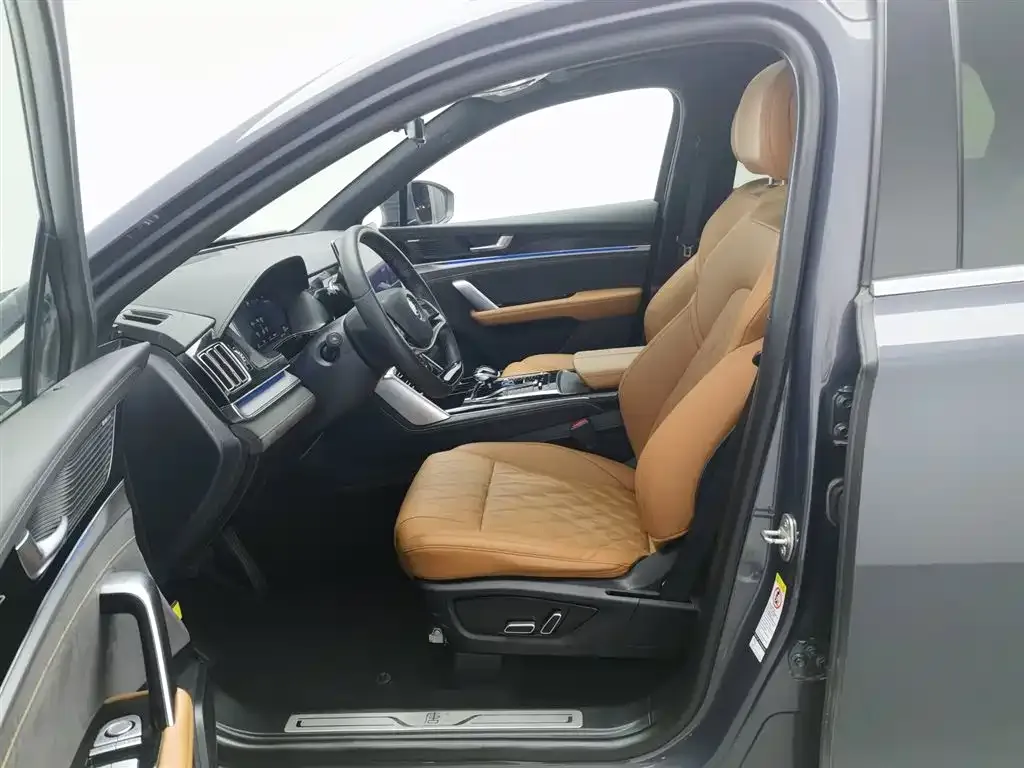 BYD Tang New Energy 2024 из CN, фото 10