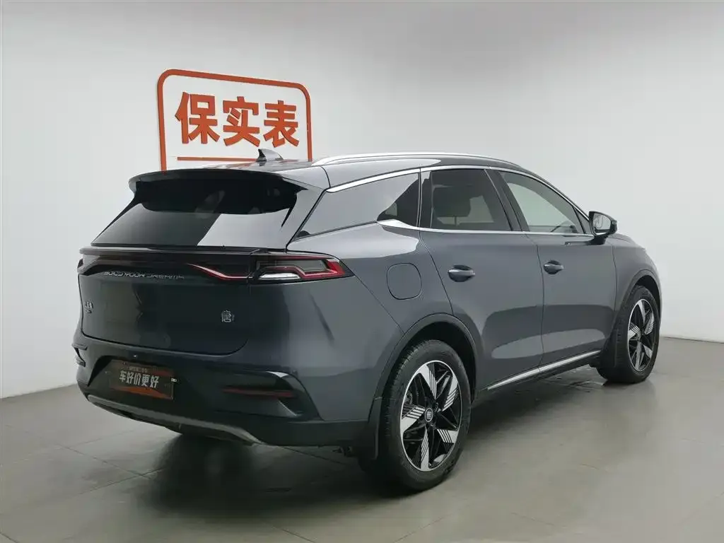 BYD Tang New Energy 2024 из CN, фото 2