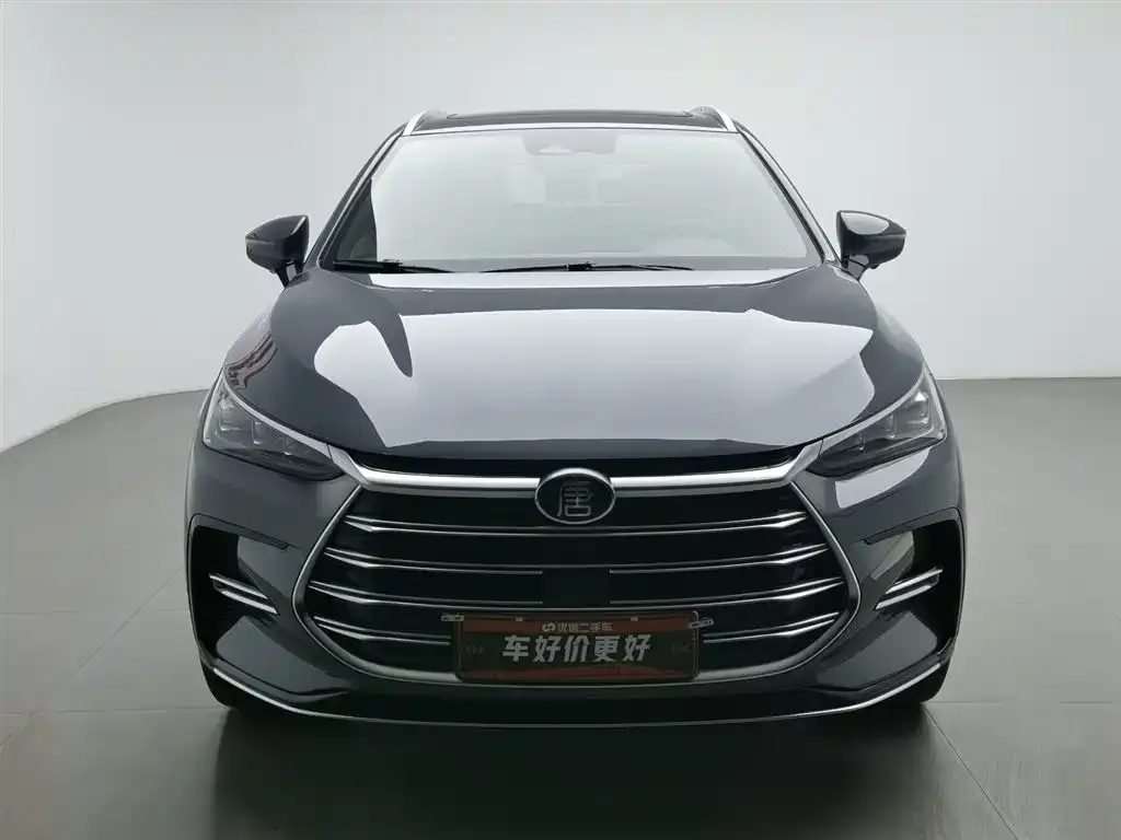 BYD Tang New Energy 2024 из CN, фото 3