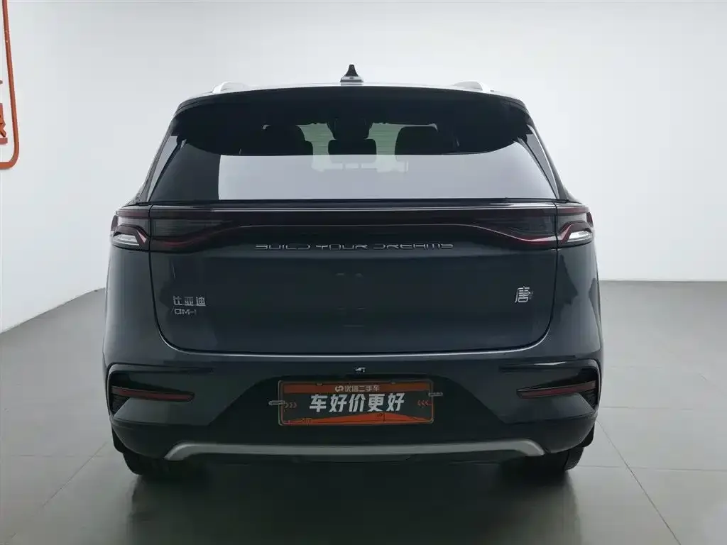 BYD Tang New Energy 2024 из CN, фото 4