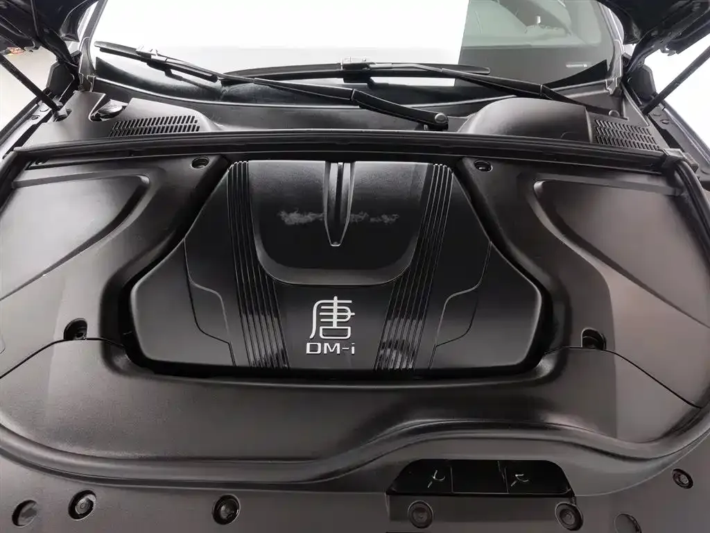 BYD Tang New Energy 2024 из CN, фото 6