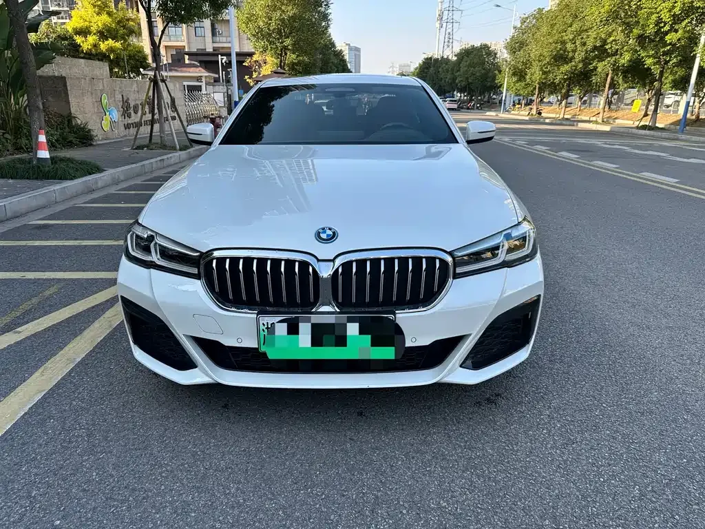 BMW 5 Series New Energy 2022 из CN, фото 1