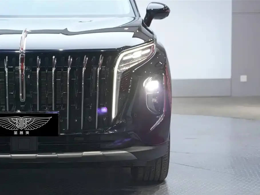 Hongqi HS7 PHEV 2025 из CN, фото 4