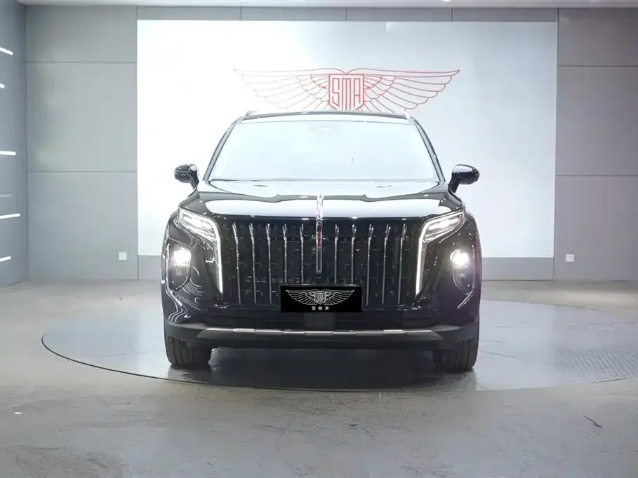 Hongqi HS7 PHEV 2025 из CN, фото 5