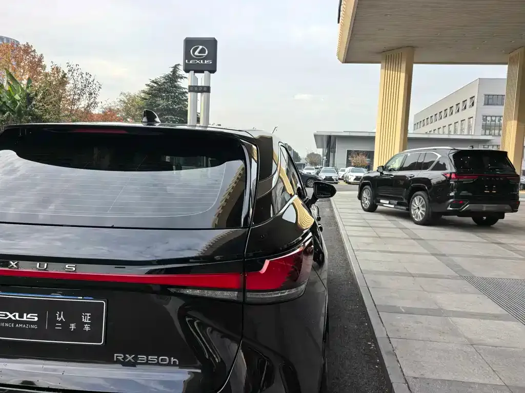 Lexus RX 2023 из CN, фото 10