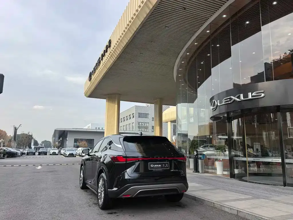 Lexus RX 2023 из CN, фото 7