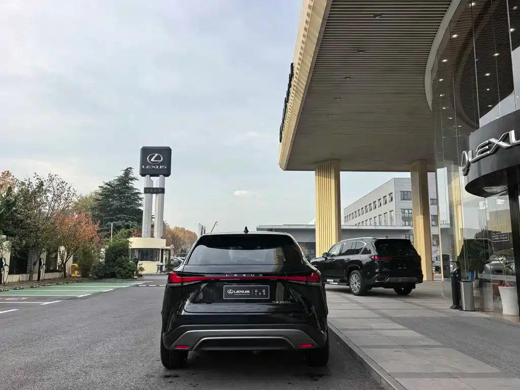 Lexus RX 2023 из CN, фото 8