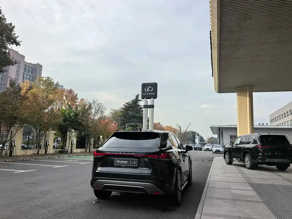 Lexus RX 2023 из CN, фото 9