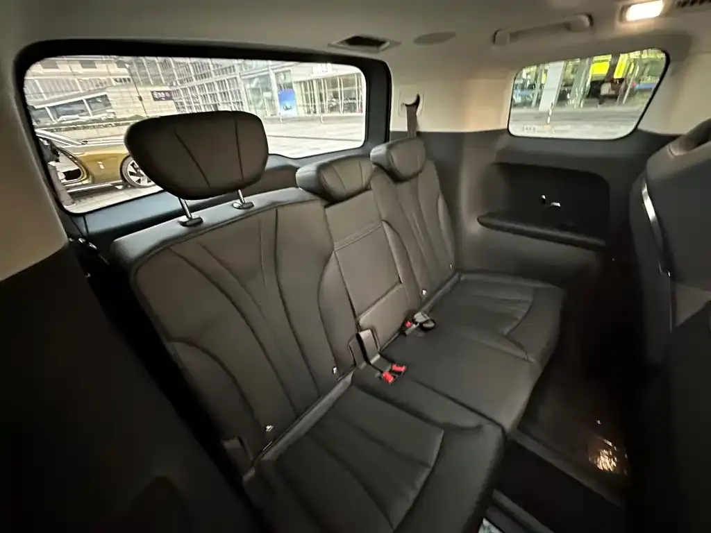 Hongqi HQ9 2023 из CN, фото 10