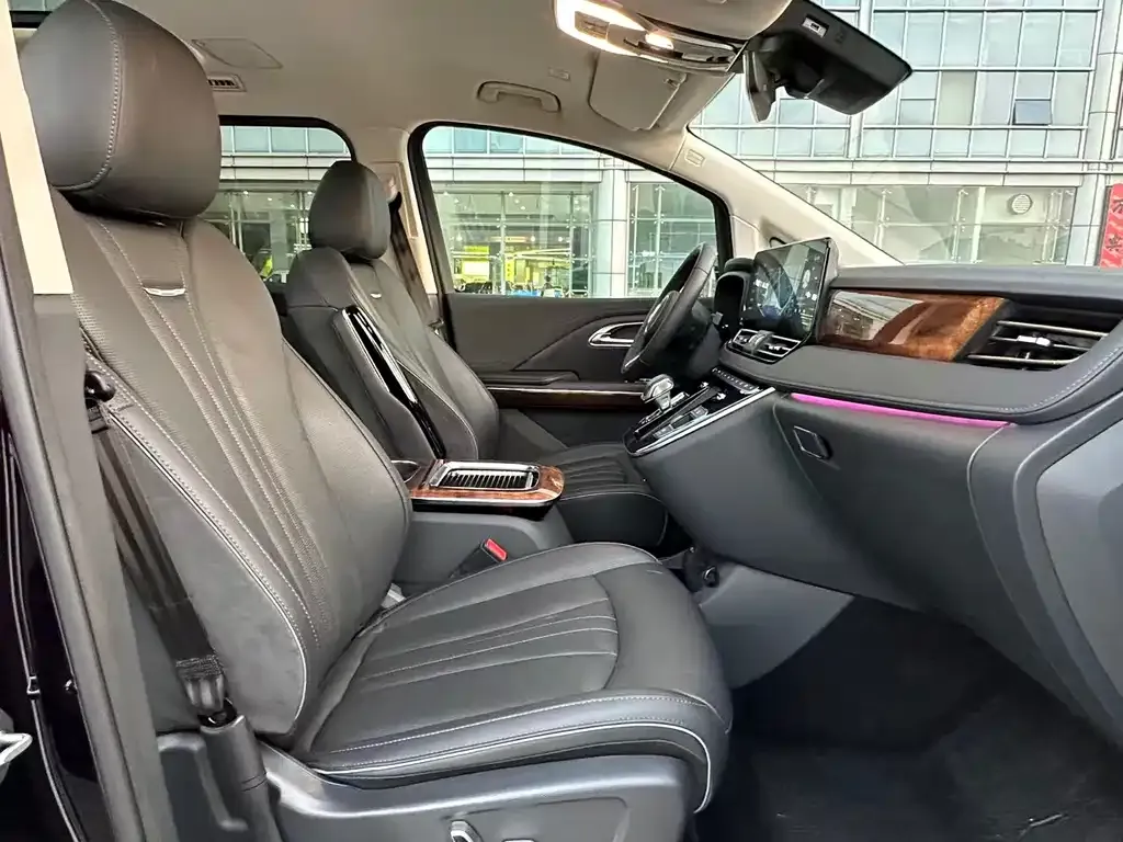 Hongqi HQ9 2023 из CN, фото 8