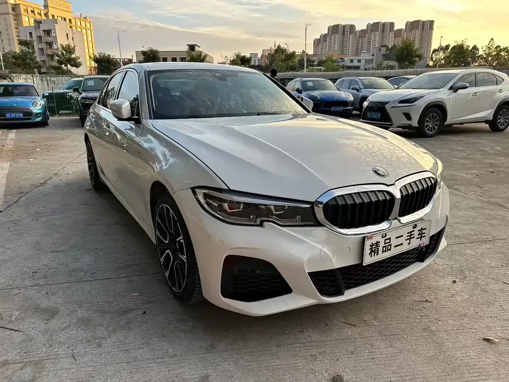 BMW 3 Series 2022 из CN, фото 3