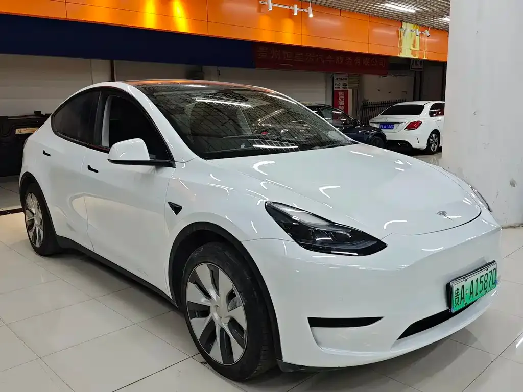 Tesla Model Y 2022 из CN, фото 1