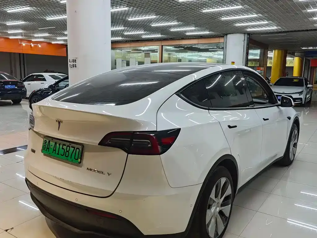 Tesla Model Y 2022 из CN, фото 6