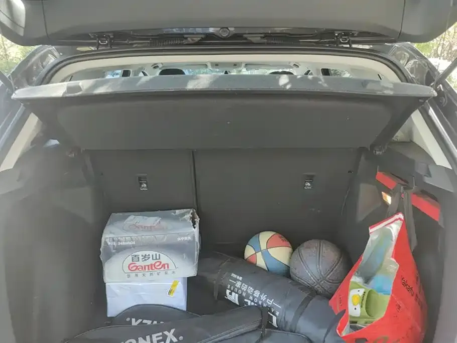 [object Object] Tharu 2021 из CN, фото 4