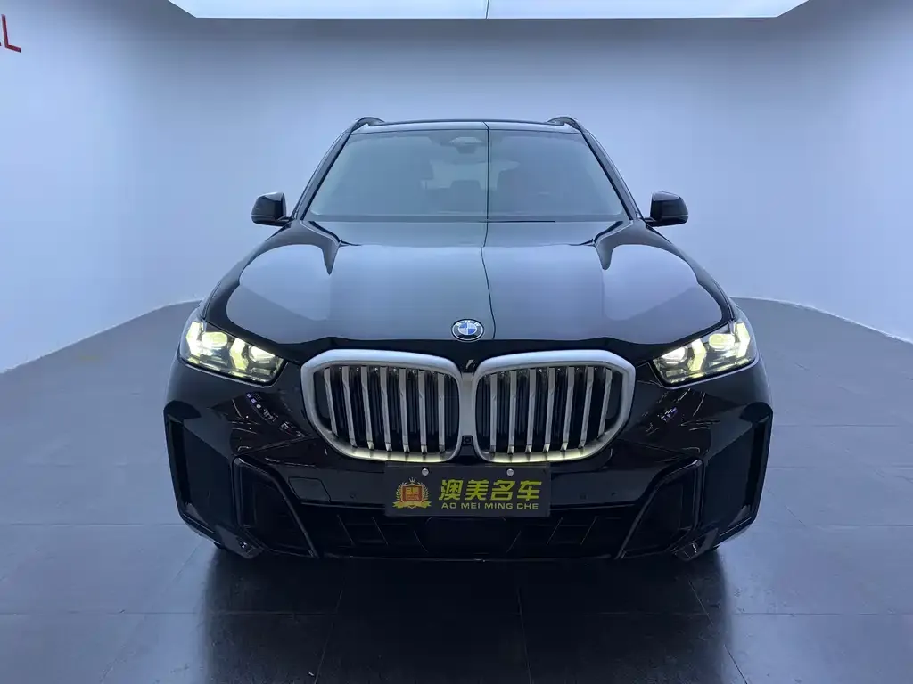 BMW X5 2025 из CN, фото 2