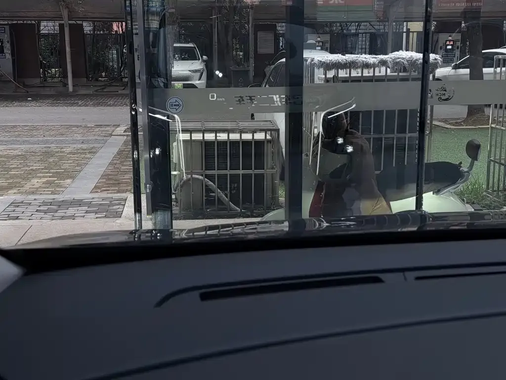Hongqi HQ9 PHEV 2024 из CN, фото 4