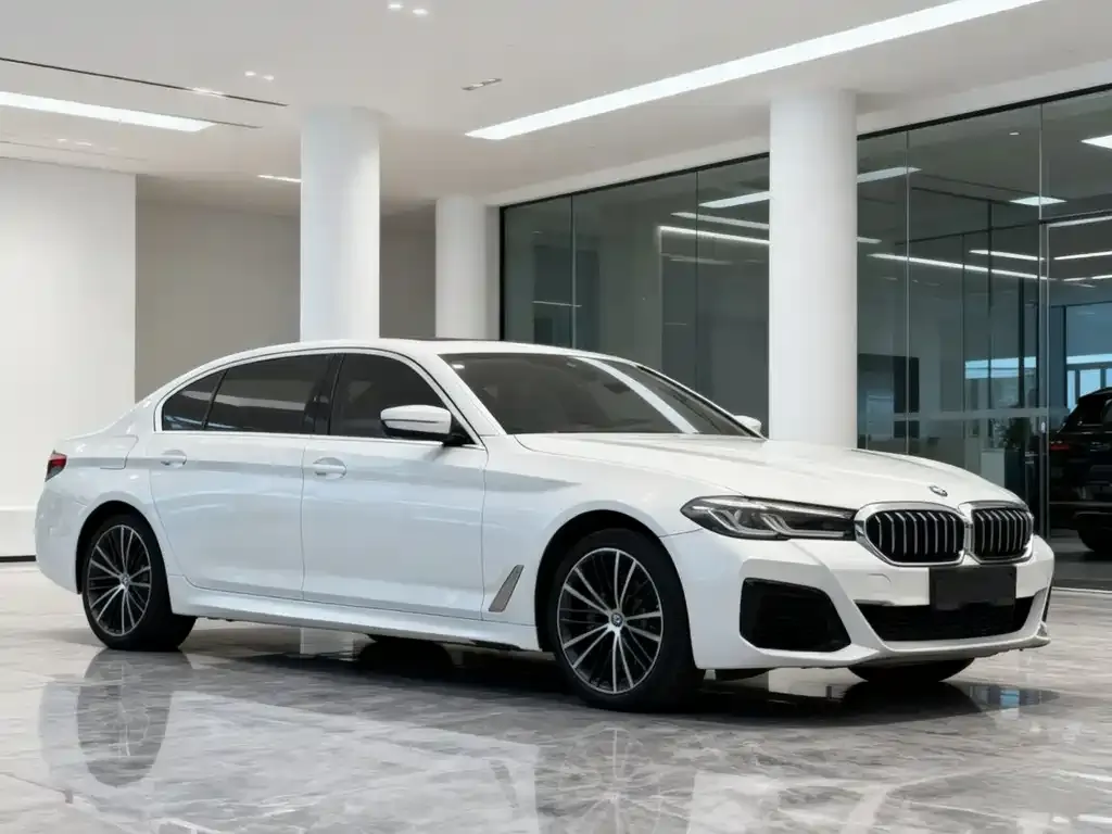 BMW 5 Series 2021 из CN, фото 3