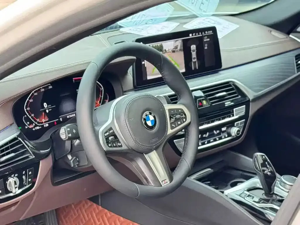 BMW 5 Series 2021 из CN, фото 5