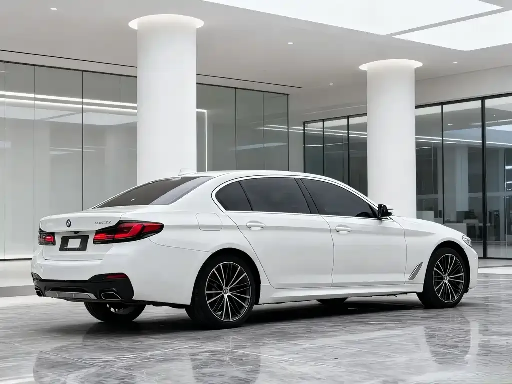 BMW 5 Series 2021 из CN, фото 9