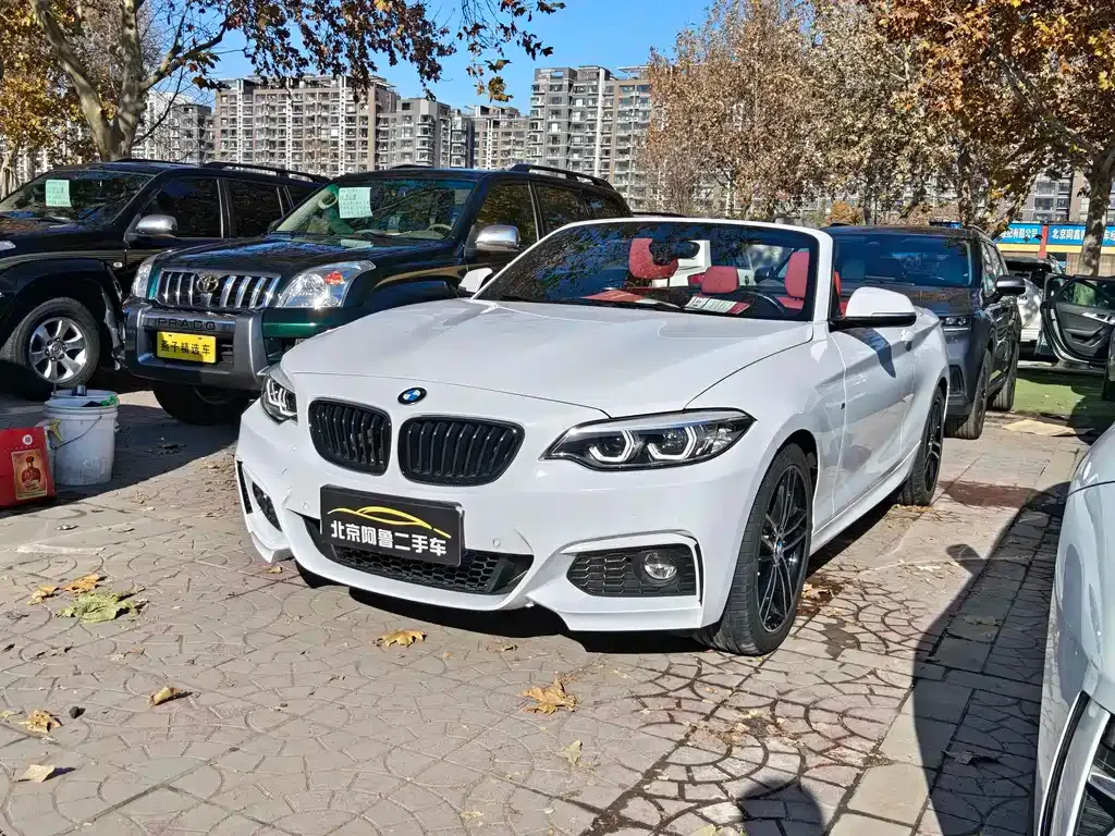 BMW 2 Series (Import) — фото 1