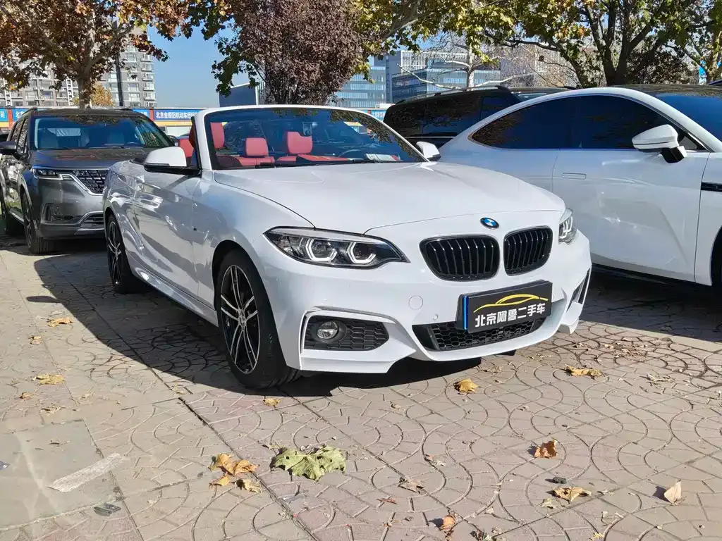 BMW 2 Series (Import) — фото 3