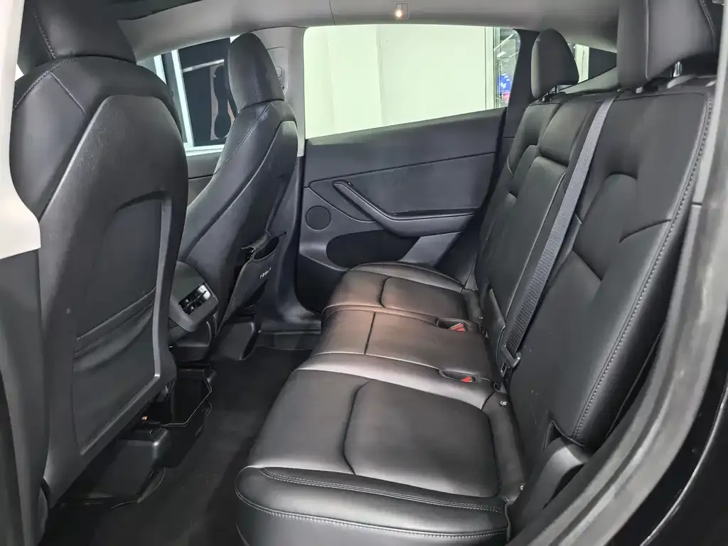 Tesla Model Y 2023 из CN, фото 6