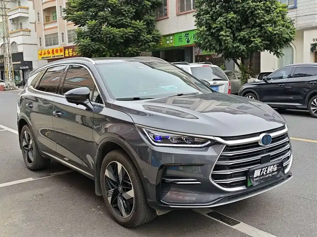 BYD Tang New Energy — фото 2