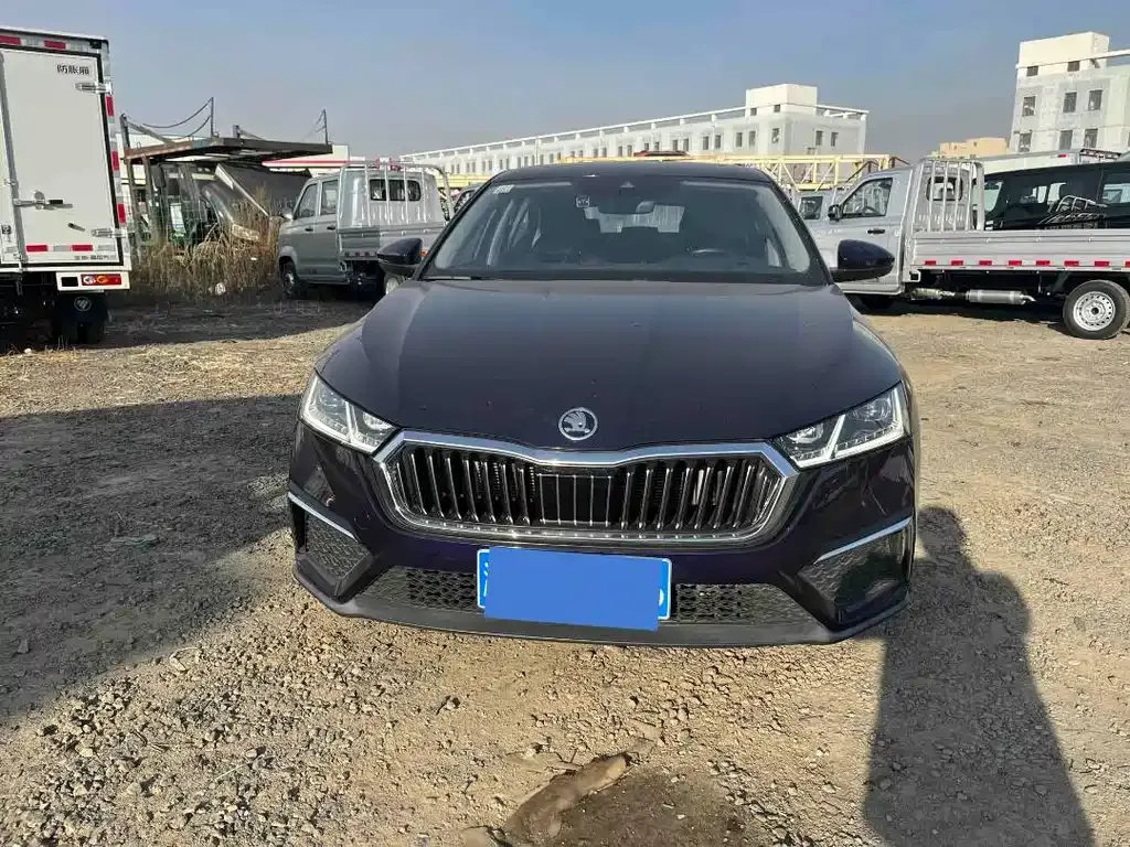 Skoda Octavia 2021 из CN, фото 3