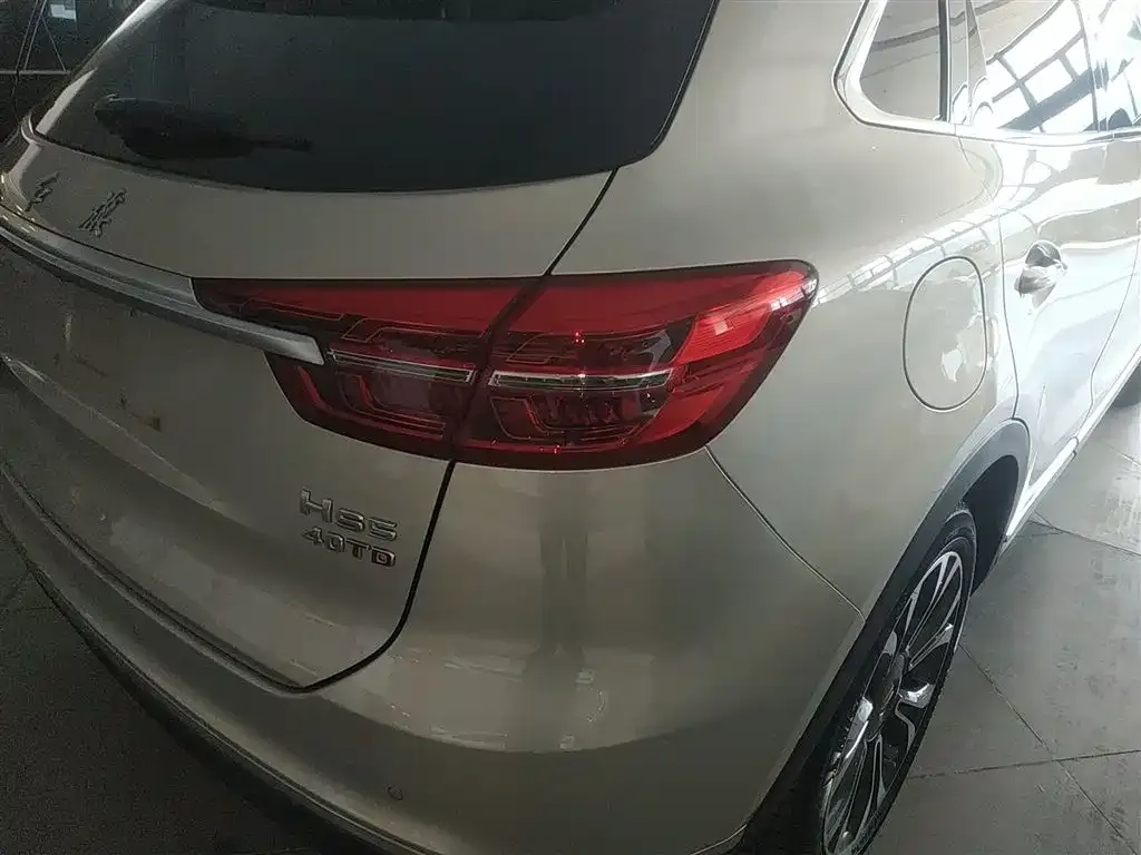Hongqi HS5 2021 из CN, фото 8