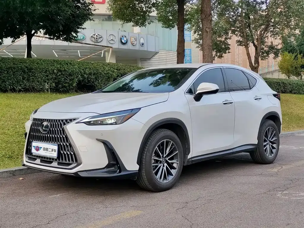 Lexus NX 2023 из CN, фото 1