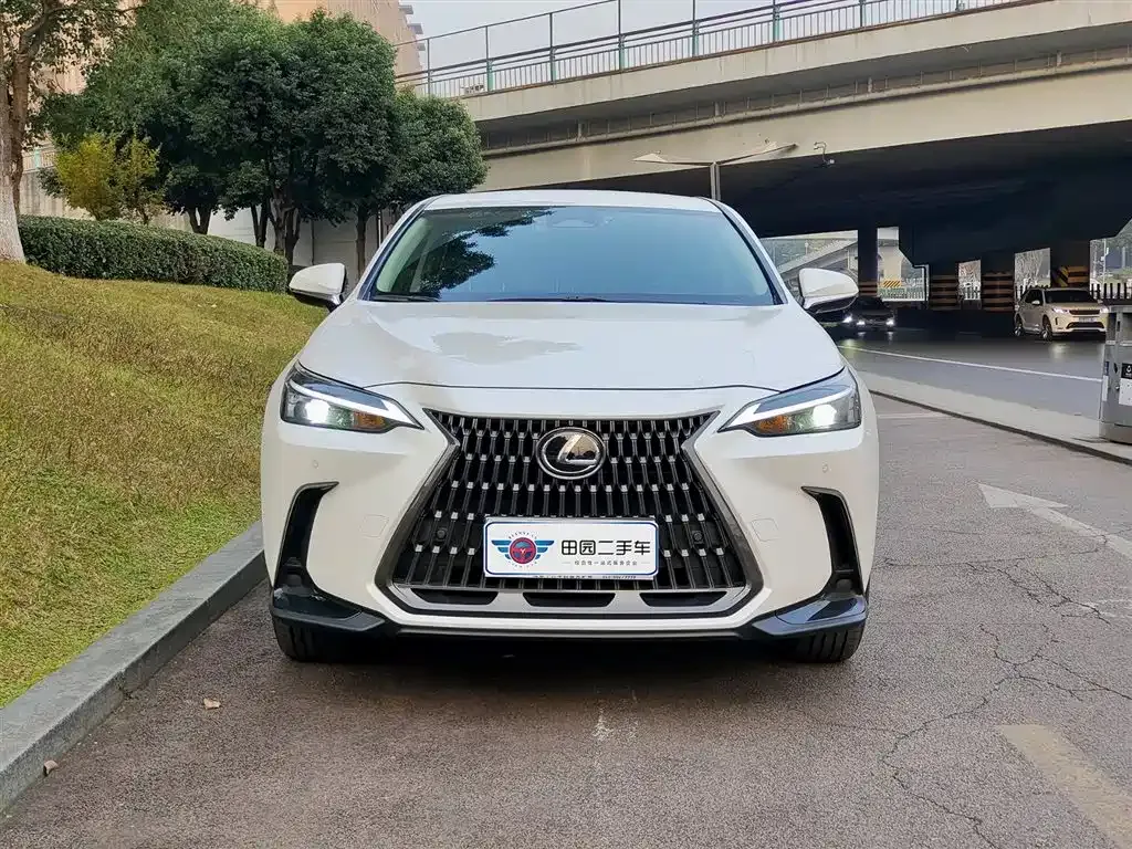 Lexus NX 2023 из CN, фото 2