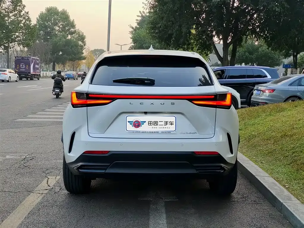 Lexus NX 2023 из CN, фото 5