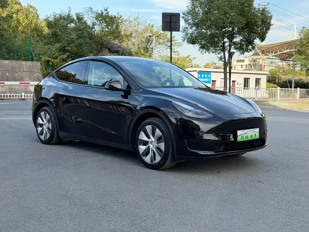 Tesla Model Y 2023 из CN, фото 4
