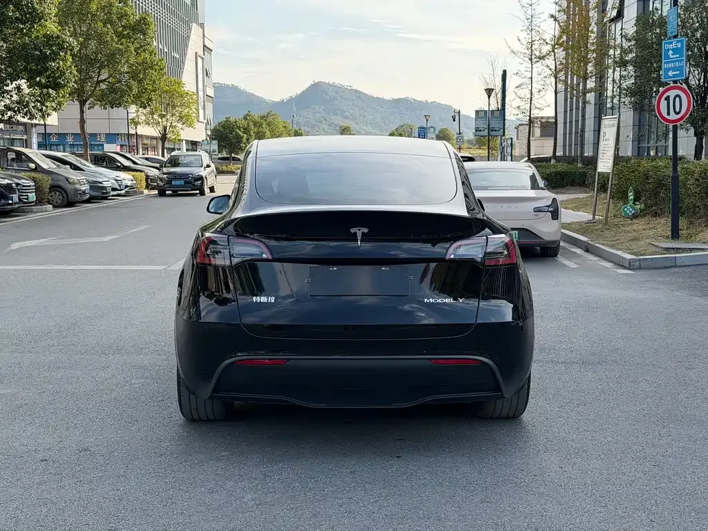 Tesla Model Y 2023 из CN, фото 6