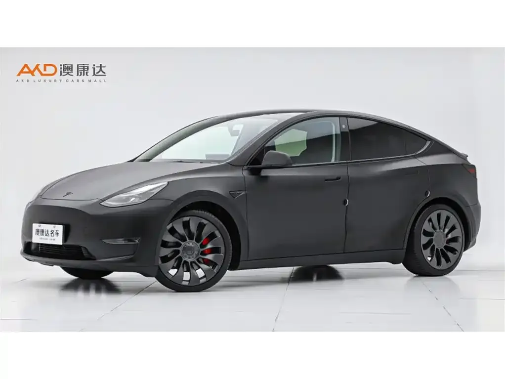 Tesla Model Y — фото 1