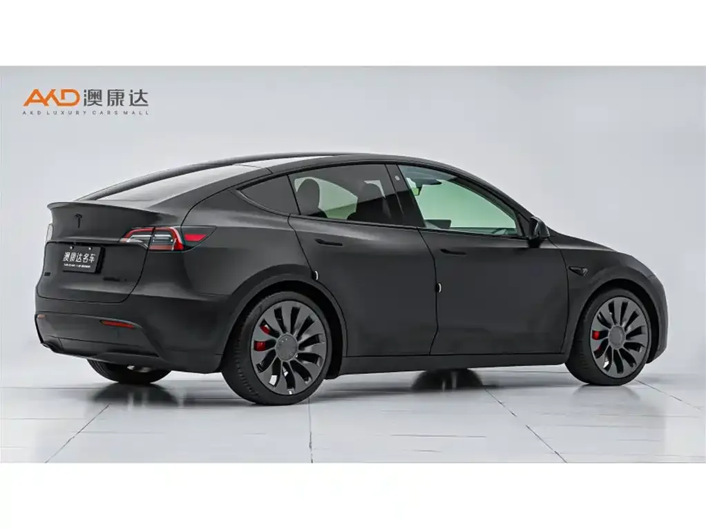 Tesla Model Y — фото 3