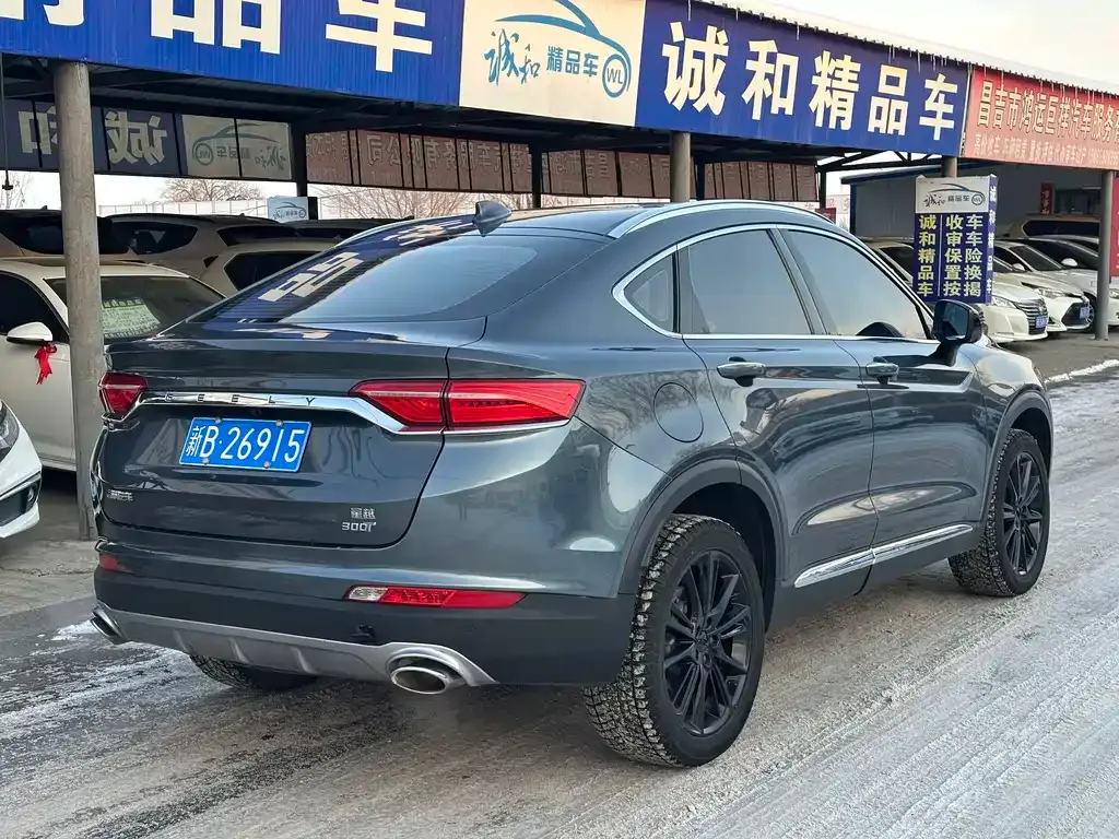 Geely Xingyue 2021 из CN, фото 7