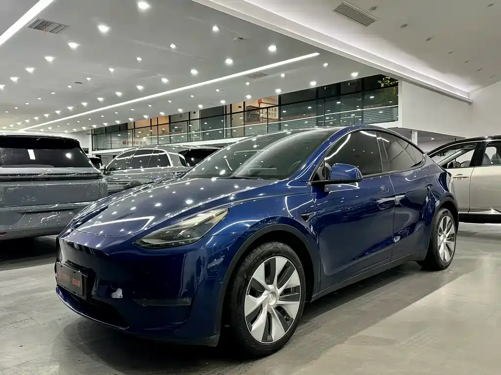 Tesla Model Y 2021 из CN, фото 1