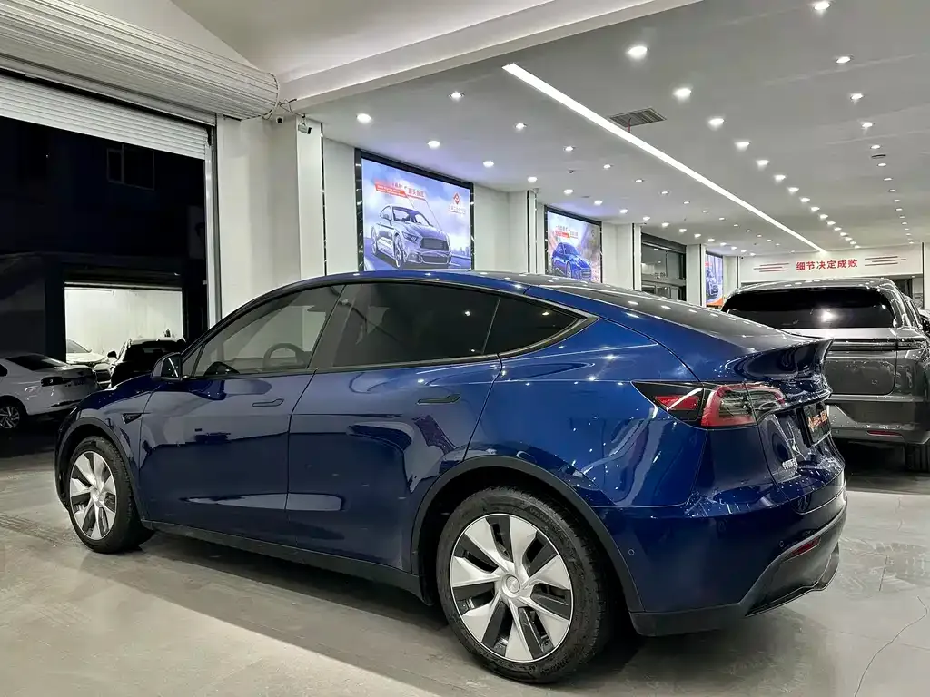 Tesla Model Y 2021 из CN, фото 2