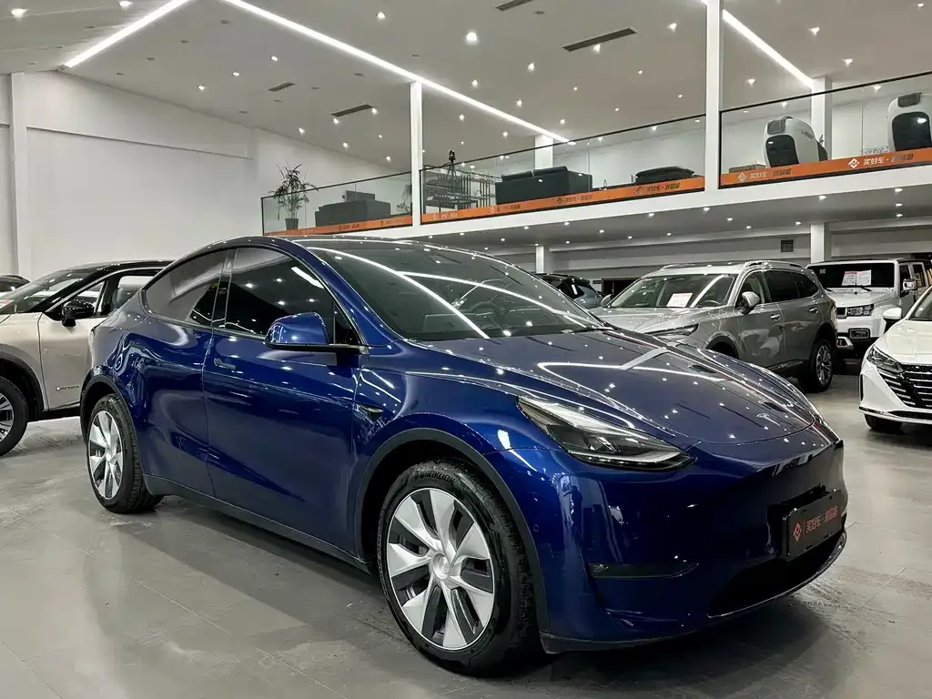 Tesla Model Y 2021 из CN, фото 3