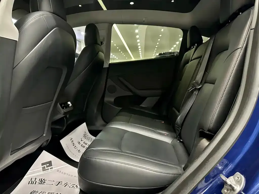 Tesla Model Y 2021 из CN, фото 6