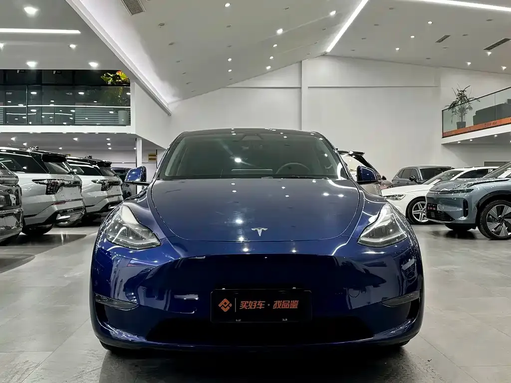 Tesla Model Y 2021 из CN, фото 7